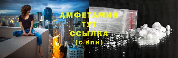 трава Ельня