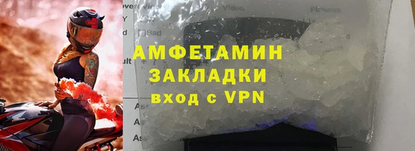 трава Ельня