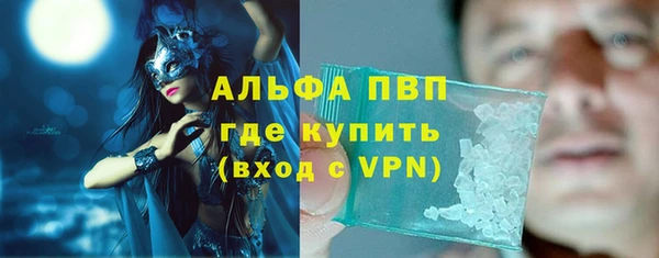 трава Ельня