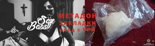 трава Ельня