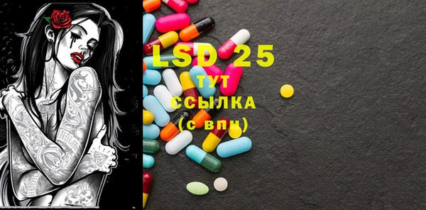 PSILOCYBIN Елабуга