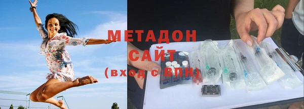 трава Ельня
