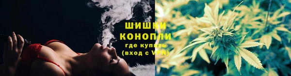 эйфоретик Елизово