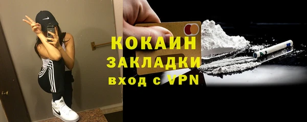 PSILOCYBIN Елабуга