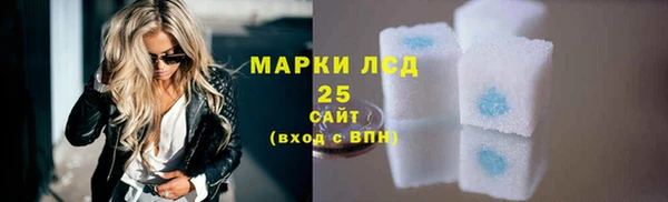 PSILOCYBIN Елабуга