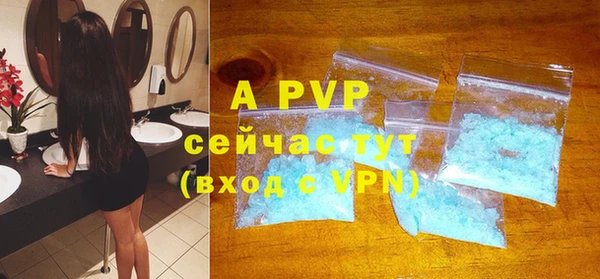 PSILOCYBIN Елабуга