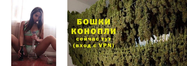 эйфоретик Елизово