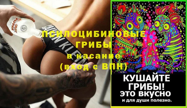 spice Туринск
