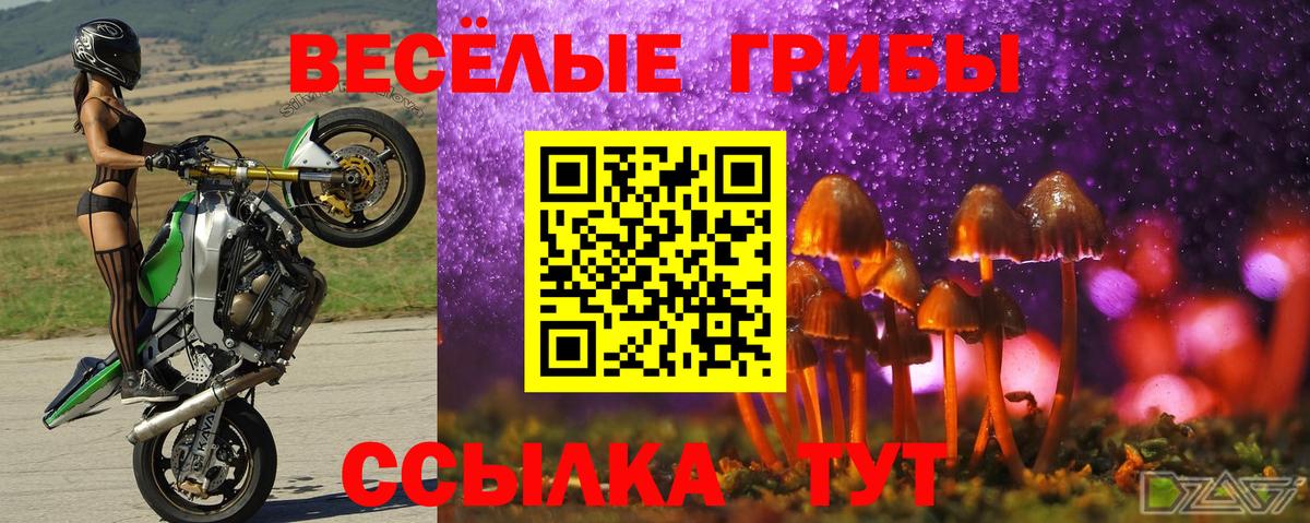 Протвино  Галлюциногенные грибы Psilocybe  Вход с VPN  как найти закладки  Галлюциногенные грибы мицелий 