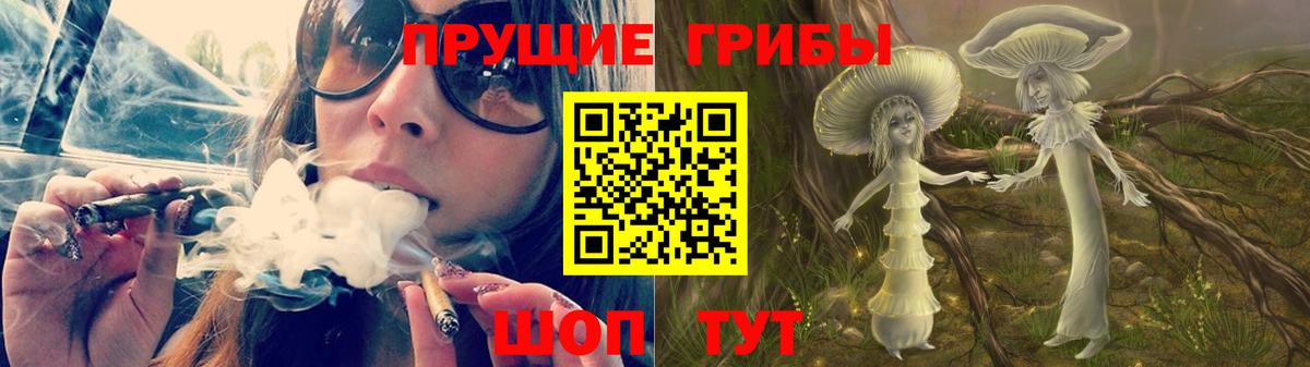 Галлюциногенные грибы Cubensis Протвино
